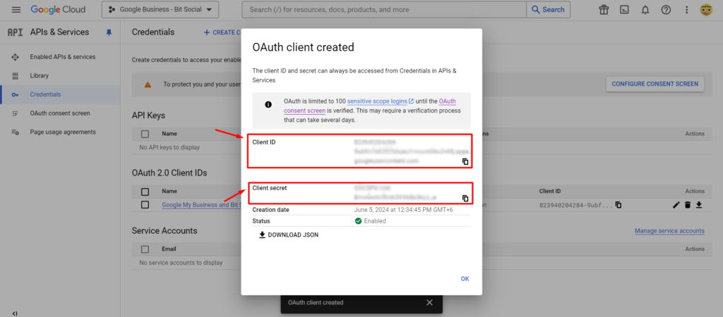 Schedule and Auto Publish WordPress Posts To Google Business Profile with Bit Social-Generate Client ID and Client Secret
